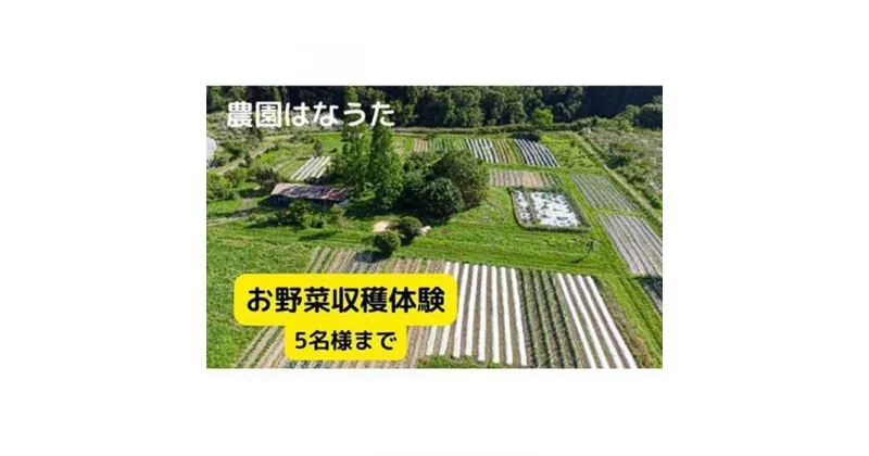 【ふるさと納税】農園はなうた お野菜収穫体験券 5名様まで | 野菜 収穫体験 持ち帰り 楽天ふるさと 納税 返礼品 三重県 伊賀市 三重 伊賀