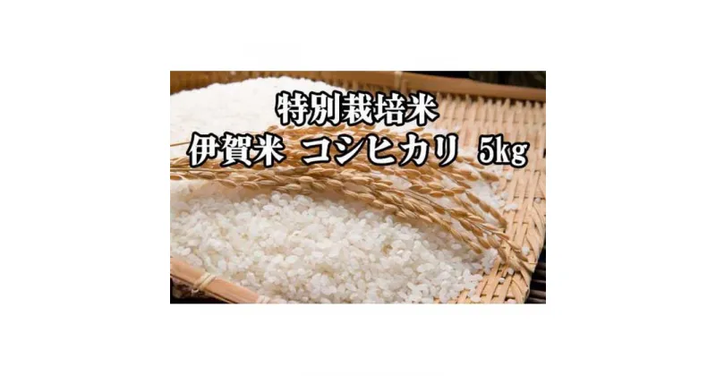 【ふるさと納税】特別栽培米・伊賀米コシヒカリ 5kg | 米 お米 白米 特別栽培米 モチモチ 冷めてもおいしい おむすび お弁当 産地直送 送料無料 楽天ふるさと 納税 返礼品 お取り寄せグルメ 取り寄せ お取り寄せ 三重県 伊賀市 三重 伊賀