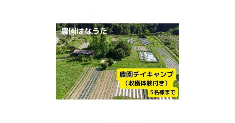 【ふるさと納税】農園はなうた 農園デイキャンプ（収穫体験付き） 5名様まで | アウトドア キャンプ 野菜 収穫体験 持ち帰り 楽天ふるさと 納税 返礼品 三重県 伊賀市 三重 伊賀