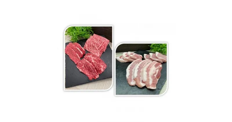 【ふるさと納税】伊賀牛＆伊賀産豚 焼肉セット 約1.2kg | 肉 伊賀牛 牛肉 豚肉 焼肉 ステーキ 食品 セット 詰め合わせ 送料無料 楽天ふるさと 納税 返礼品 お取り寄せグルメ 取り寄せ お取り寄せ 三重県 伊賀市 三重 伊賀