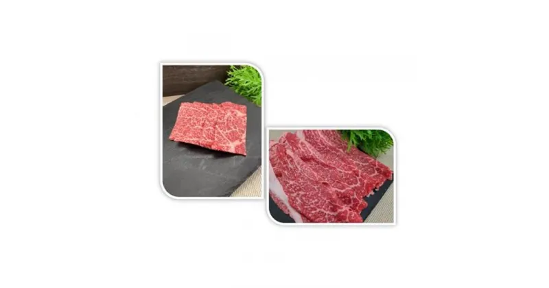 【ふるさと納税】伊賀牛 ロース＆赤身すきしゃぶセット 約1kg | 肉 伊賀牛 牛肉 焼肉 ステーキ しゃぶしゃぶ 食品 セット 詰め合わせ 送料無料 楽天ふるさと 納税 返礼品 お取り寄せグルメ 取り寄せ お取り寄せ 三重県 伊賀市 三重 伊賀