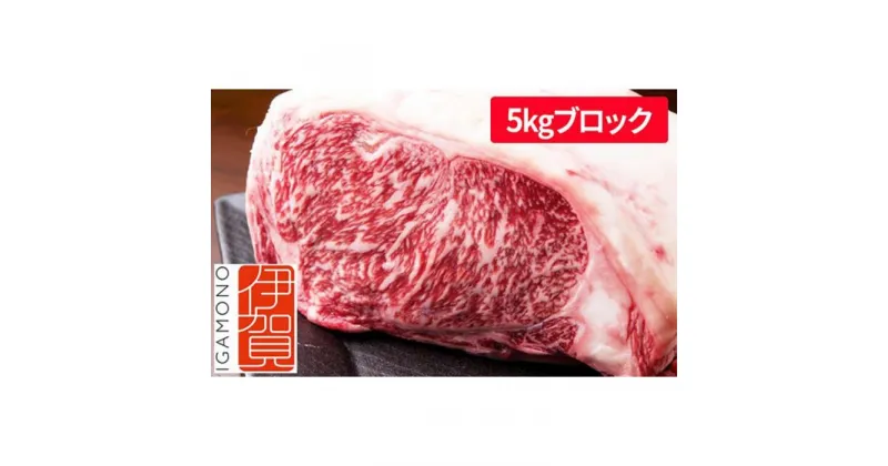 【ふるさと納税】約5kgブロック 忍者ビーフ（伊賀牛）サーロインステーキ | 肉 伊賀牛 牛肉 サーロイン ステーキ 食品 送料無料 楽天ふるさと 納税 返礼品 お取り寄せグルメ 取り寄せ お取り寄せ 三重県 伊賀市 三重 伊賀