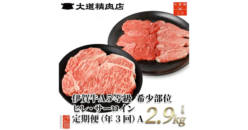 【ふるさと納税】【年3回】伊賀牛 A5ヒレ・サーロイン 定期便A 総合計約2.9kg | 肉 伊賀牛 牛肉 ステーキ 食品 定期便 セット 詰め合わせ 食べ比べ 送料無料 楽天ふるさと 納税 返礼品 お取り寄せグルメ 取り寄せ お取り寄せ 三重 伊賀