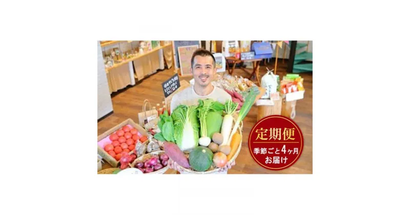 【ふるさと納税】忍びの国の野菜セット（12品以上）季節毎に4回お届け | 野菜 季節の野菜 旬の野菜 定期便 冷蔵便 セット 詰め合わせ 送料無料 楽天ふるさと 納税 返礼品 お取り寄せグルメ 取り寄せ お取り寄せ 三重県 伊賀市 三重 伊賀