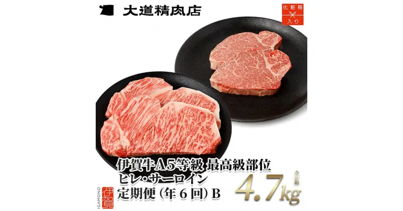 【ふるさと納税】【年6回】伊賀牛 A5ヒレ・サーロイン 定期便B 総合計約4.7kg | 肉 伊賀牛 牛肉 ステーキ 食品 定期便 セット 詰め合わせ 食べ比べ 送料無料 楽天ふるさと 納税 返礼品 お取り寄せグルメ 取り寄せ お取り寄せ 三重 伊賀