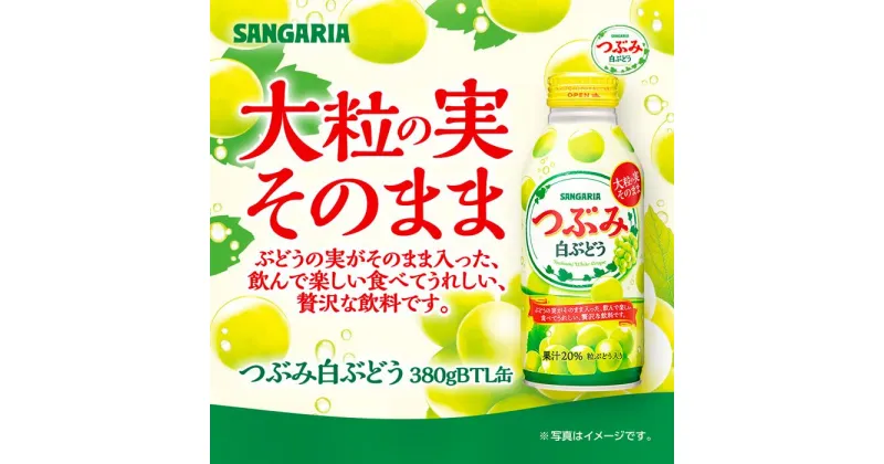 【ふるさと納税】サンガリア つぶみ白ぶどう 380g×24本 | 飲料 ぶどう果汁 食感系飲料 ソフトドリンク フルーツ ジュース 送料無料 楽天ふるさと 納税 返礼品 お取り寄せグルメ 取り寄せ お取り寄せ 三重県 伊賀市 三重 伊賀