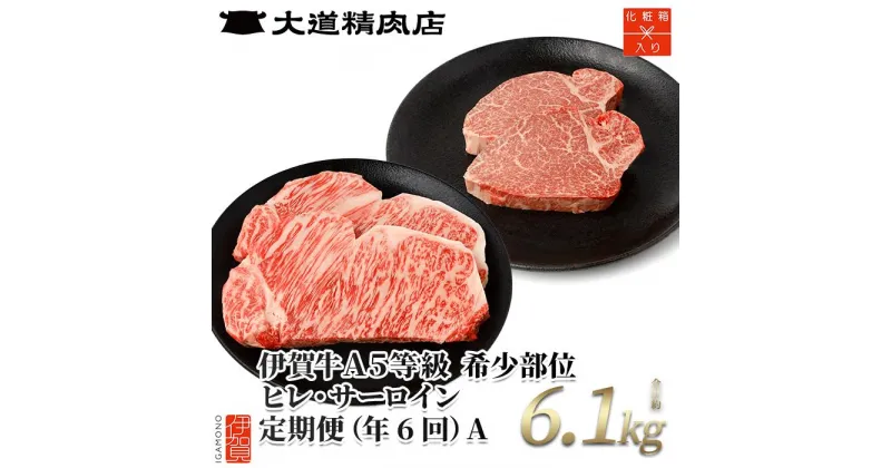 【ふるさと納税】【年6回】伊賀牛 A5ヒレ・サーロイン 定期便A 総合計約6.1kg | 肉 伊賀牛 牛肉 ステーキ 食品 定期便 セット 詰め合わせ 食べ比べ 送料無料 楽天ふるさと 納税 返礼品 お取り寄せグルメ 取り寄せ お取り寄せ 三重 伊賀