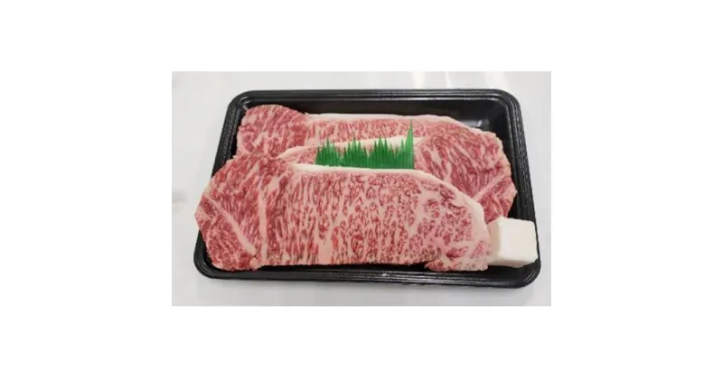 【ふるさと納税】伊賀肉 森辻の伊賀牛　熟成サーロインステーキ約200g×3枚 | 肉 伊賀牛 牛肉 サーロイン 焼肉 ステーキ 食品 贈答 ギフト プレゼント 送料無料 楽天ふるさと 納税 返礼品 お取り寄せグルメ 取り寄せ お取り寄せ 三重県 伊賀市 三重 伊賀