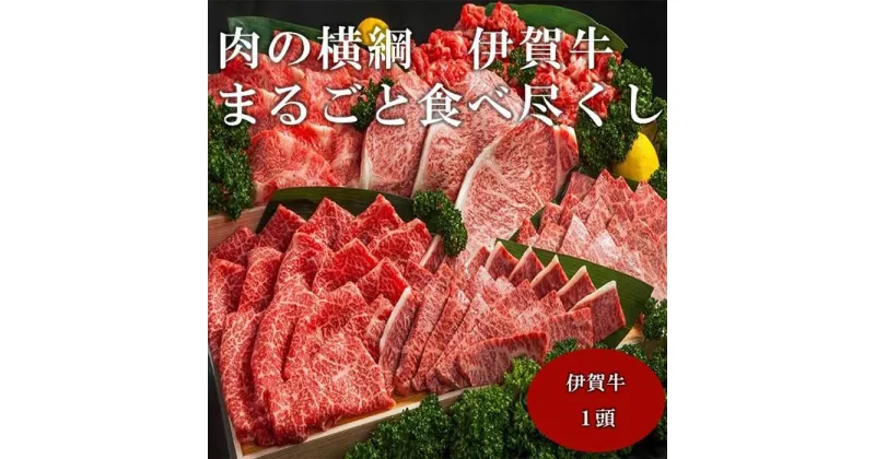 【ふるさと納税】肉の横綱　伊賀牛まるごと食べ尽くし