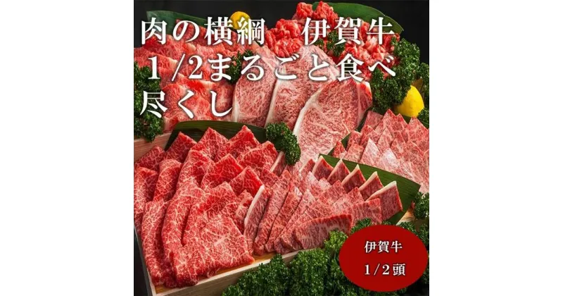 【ふるさと納税】肉の横綱　伊賀牛1/2まるごと食べ尽くし