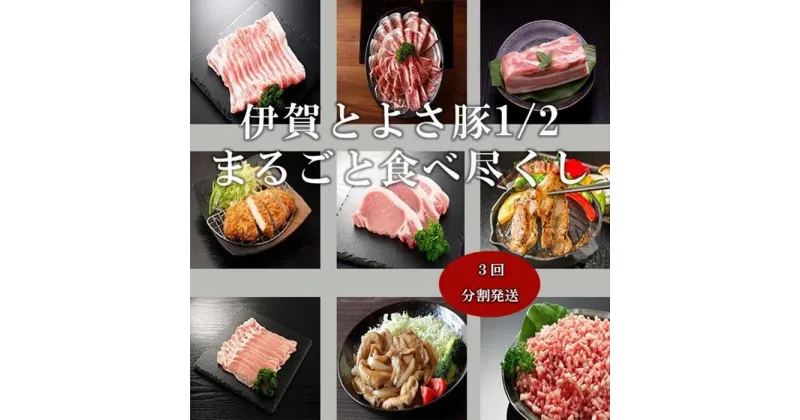 【ふるさと納税】【3回分割発送】伊賀とよさ豚1/2まるごと食べ尽くし