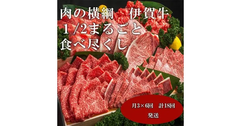 【ふるさと納税】【月3×6回　計18回発送】肉の横綱　伊賀牛1/2まるごと食べ尽くし