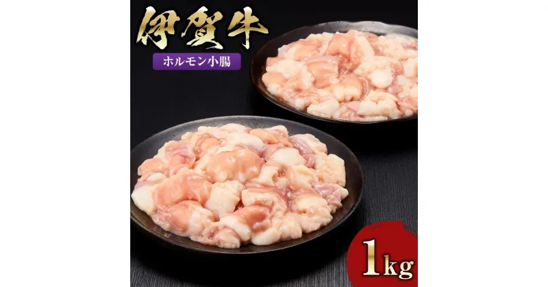 【ふるさと納税】伊賀牛 ホルモン小腸 1kg（500g×2）