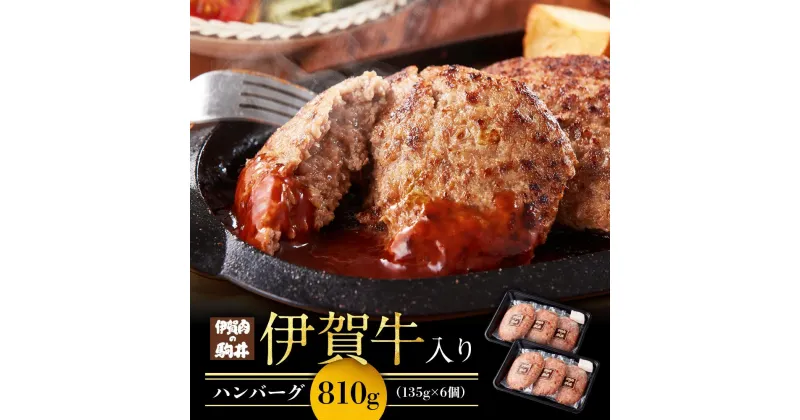 【ふるさと納税】伊賀牛入りハンバーグ 135g×6個 | 肉 お肉 にく 食品 伊賀産 人気 おすすめ 送料無料 ギフト