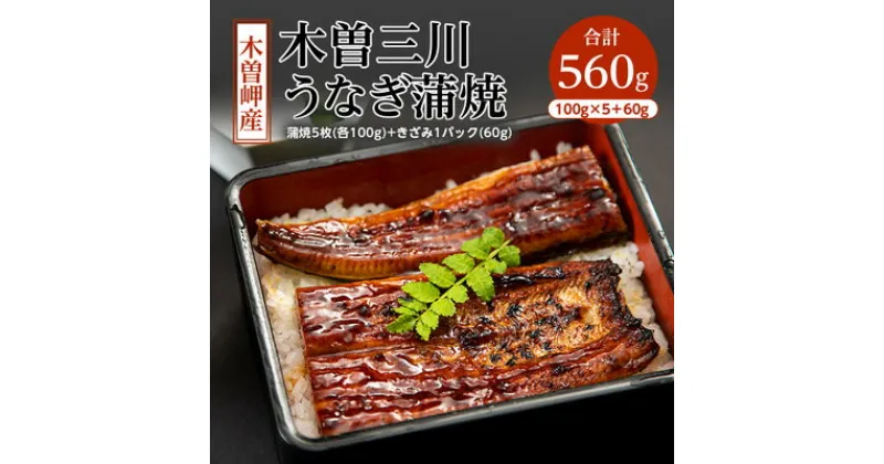 【ふるさと納税】木曽岬産「木曽三川うなぎ」うなぎ蒲焼5枚(各100g)+おまけ(60g)付【配送不可地域：離島】【1028066】