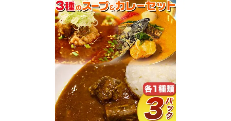 【ふるさと納税】3種のスープ＆カレーセット(テールスープ、牛タンカレー、魚介スープカレー) 焼肉一 un 株式会社アンサンブル《30日以内に出荷予定(土日祝除く)》三重県 東員町 テールスープ 牛タンカレー スープカレー 魚介 牛タン カレー スープ 送料無料 肉 魚