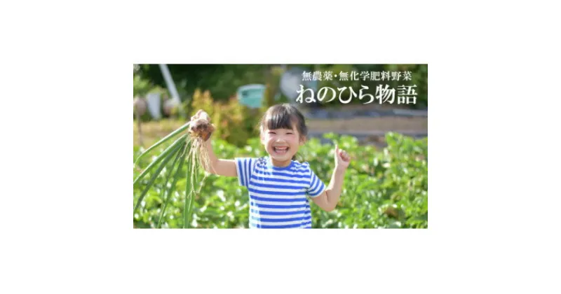 【ふるさと納税】自然のまま育てる農業体験とおみやげ野菜セット【1407469】