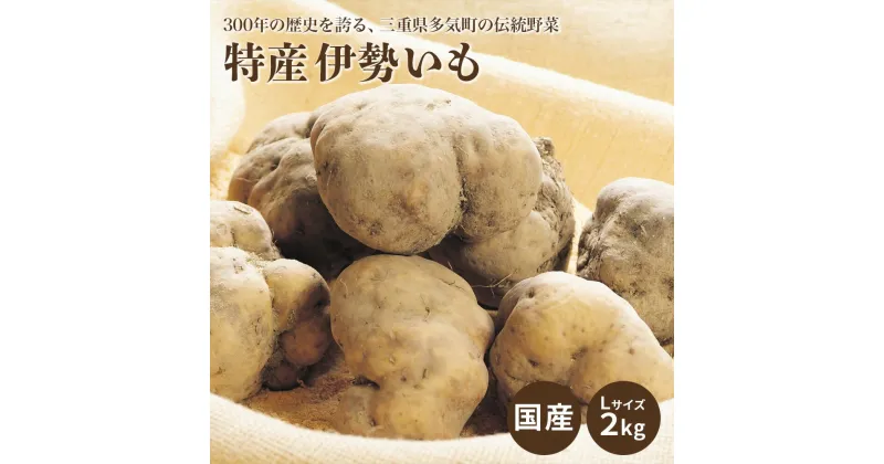 【ふるさと納税】300年の歴史を誇る 特産 伊勢いも ja-01 伊勢芋 山芋 ヤマイモ とろろ ご飯のお供 三重県多気町