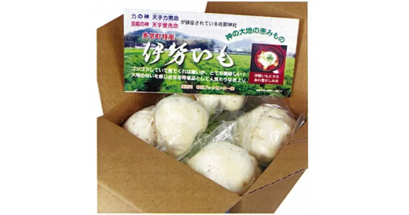 【ふるさと納税】伊勢 いも 皮むき 済み 真空 パック tb-01 冷蔵 伊勢芋 山芋 ヤマイモ ご飯のお供 三重県多気町