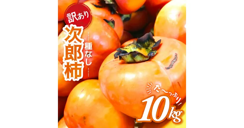 【ふるさと納税】訳あり 10kg 次郎柿 たねなし 柿 かき フルーツ 家庭用 訳あり 規格外 わけあり 不揃い ふぞろい 種なし 三重県 多気町 GF-09