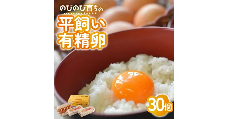 【ふるさと納税】のびのび育ちの平飼い有精卵 30個 （10個入×3P） 平飼い 有精卵 たまご 卵 玉子 タマゴ 鶏卵 オムレツ 卵かけご飯 たまご焼き 国産 すき焼き 三重県 多気町 JK-03