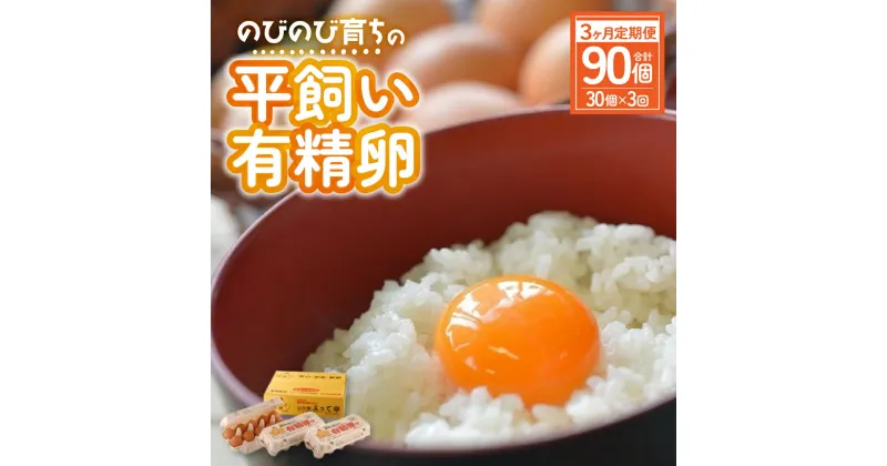 【ふるさと納税】【3ヶ月定期便】計90個 のびのび育ちの平飼い有精卵 30個×3ヶ月 定期 定期便 平飼い 有精卵 たまご 卵 玉子 タマゴ 鶏卵 オムレツ 卵かけご飯 たまご焼き 国産 すき焼き 三重県 多気町 JK-04