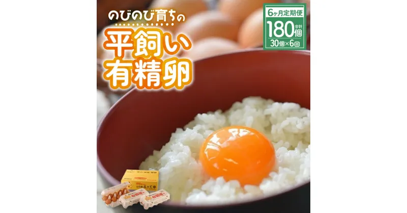 【ふるさと納税】【6ヶ月定期便】計180個 のびのび育ちの平飼い有精卵 30個×6ヶ月 定期 定期便 平飼い 有精卵 たまご 卵 玉子 タマゴ 鶏卵 オムレツ 卵かけご飯 たまご焼き 国産 すき焼き 三重県 多気町 JK-05