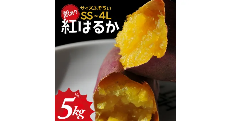 【ふるさと納税】≪訳あり≫ 栽培期間中農薬不使用 サツマイモ 5kg 紅はるか 無農薬 さつまいも サツマイモ ワケアリ ワケアリ わけありさつまいも詰め合わせ 芋 いも 三重県 多気町 GE‐01