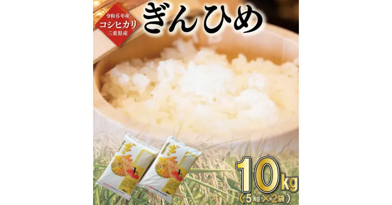 【ふるさと納税】 三重県産 コシヒカリ ぎんひめ 精米 5kg×2袋（ 合計 10kg ） ふるさと納税 ふるさと 米 コメ こめ おこめ ギフト プレゼント 贈答 贈り物 御祝い お祝い返礼品 人気 お取り寄せ 三重米 お米 新米 白米 精米 ブランド米 国産 JA