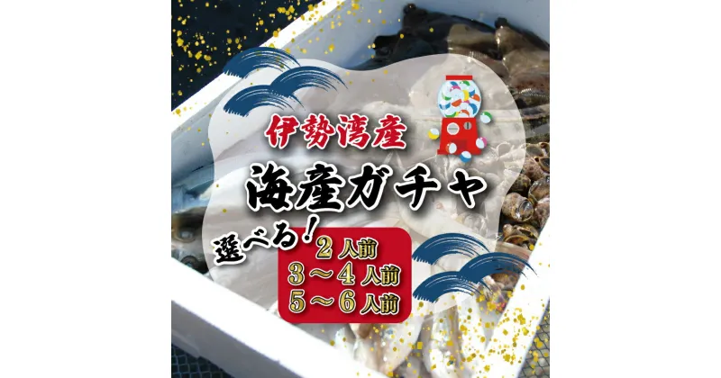 【ふるさと納税】 伊勢湾直送 なにが届くかな 明和の海産ガチャ 魚 貝 干物 海藻 新鮮 詰め合わせ セット 海鮮 海産 直送 海 漁師 おまかせ 旬 季節 お楽しみ 選べる内容量 U2 I52 J33