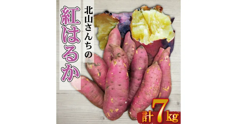 【ふるさと納税】 北山さんちのさつまいも 紅はるか 7kg さつまいも サツマイモ 薩摩芋 いも 芋 ほくほく 産地直送 新鮮 野菜 季節の野菜 旬 直送