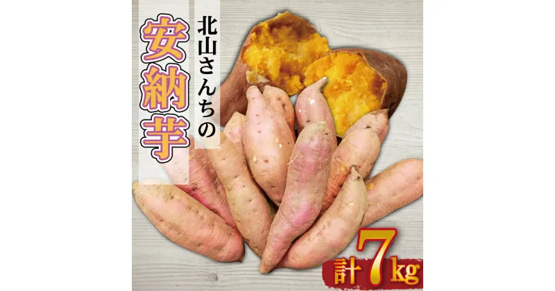 【ふるさと納税】北山さんちのさつまいも 安納芋 7kg さつまいも サツマイモ 薩摩芋 いも 芋 ほくほく 産地直送 新鮮 野菜 季節の野菜 旬 直送