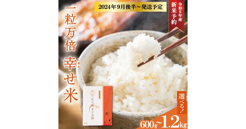 【ふるさと納税】一粒万倍 幸せ米 コシヒカリ お米 おこめ 三重県産 送料無料 小分け 冷めてもおいしい 三重 米 白米 精米 ギフト 祝 贈り物 喜ばれる お米ギフト お祝い 内祝い 贈答 一粒万倍日 伊勢神宮 奉納