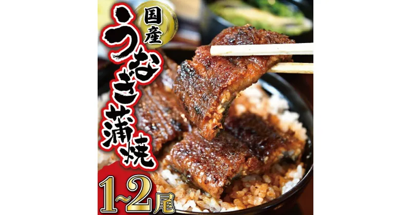 【ふるさと納税】 うなぎのかば焼き (タレ付き) うな丼 丼 蒲焼 精力 国産 三重 お祝い 特別な日 有名店 行列 職人技 タレ