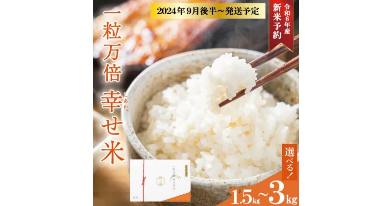 【ふるさと納税】一粒万倍 幸せ米 コシヒカリ 2合 お米 おこめ 三重県産 送料無料 小分け 冷めてもおいしい 三重 米 白米 精米 ギフト 祝 贈り物 喜ばれる お米ギフト お祝い 内祝い 贈答 一粒万倍日 伊勢神宮 奉納