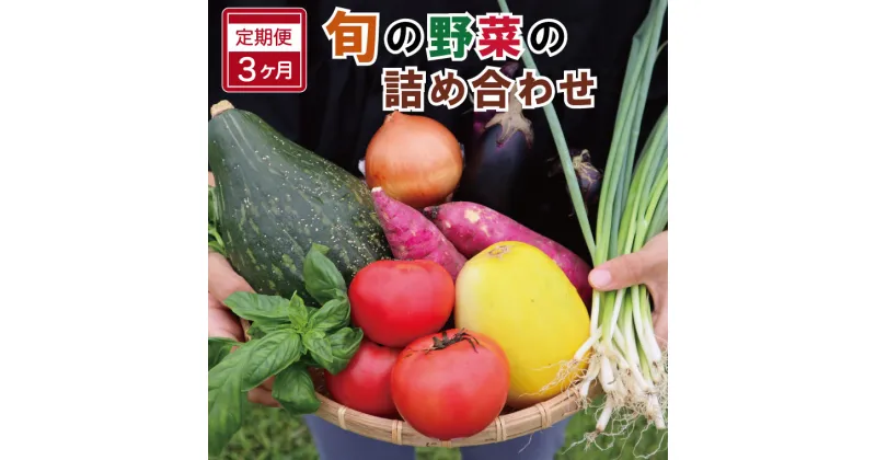 【ふるさと納税】 旬の野菜 詰め合わせ 6〜7品以上 連続3か月 【 定期便 】 おまかせ セット 産地直送 新鮮 野菜 季節の野菜 旬 直売所 直送 連続 新鮮