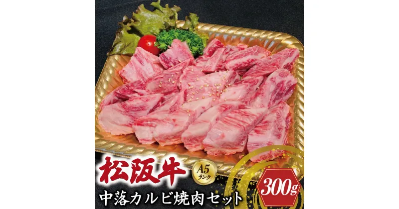 【ふるさと納税】特選A5 松阪牛 職人カットの中落カルビ 焼肉セット 自家製タレ付き （300g）【焼肉和牛料理　金竹】お取り寄せ 送料無料 肉 牛 牛肉 和牛 ブランド牛 高級 国産 冷凍 人気 KT6