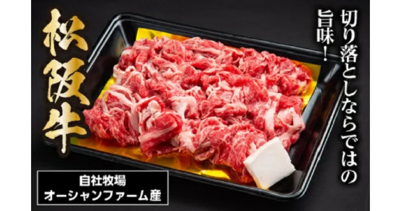 【ふるさと納税】SS01　松阪牛切り落とし　400g／（冷凍）瀬古食品　JGAP認定　松阪肉　名産　お取り寄せグルメ　三重県　大台町