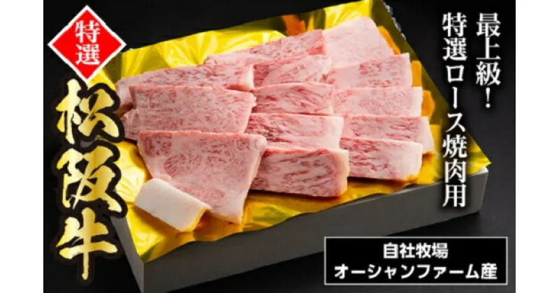 【ふるさと納税】SS01　松阪牛焼肉（特選ロース）　500g／（冷凍）ギフト箱包装　瀬古食品　JGAP認定　松阪肉　名産　お取り寄せグルメ　三重県　大台町