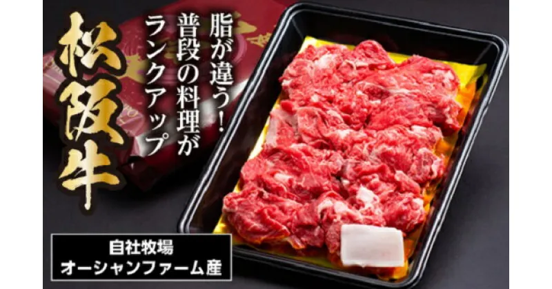 【ふるさと納税】SS01　松阪牛　小間切れ　500g／（冷凍）瀬古食品　バラ　スネ　松阪肉　名産　お取り寄せグルメ　三重県　大台町