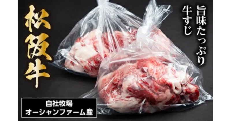 【ふるさと納税】SS01　松阪牛すじ　500g×2P／（冷凍）瀬古食品　JGAP認定　松阪肉　名産　お取り寄せグルメ　三重県　大台町