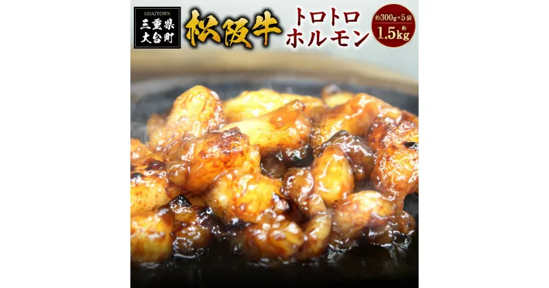 【ふるさと納税】SS01　松阪牛トロトロホルモン　300g×5P／（冷凍）瀬古食品　JGAP認定　松阪肉　名産　お取り寄せグルメ　三重県　大台町