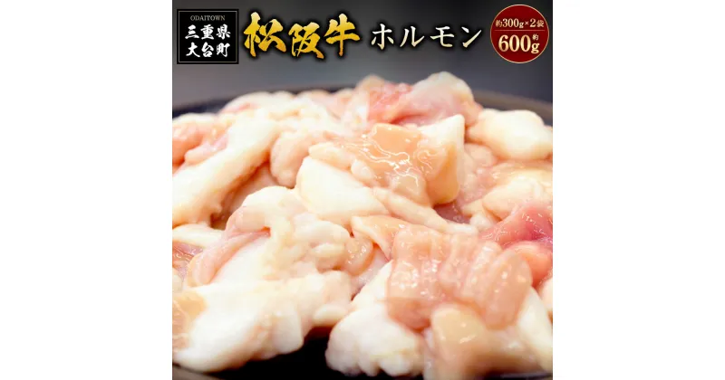 【ふるさと納税】SS01　松阪牛ホルモン　300g×2P／（冷凍）瀬古食品　JGAP認定　松阪肉　名産　お取り寄せグルメ　三重県　大台町