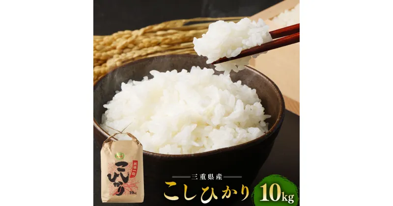 【ふるさと納税】こしひかり 精米 10kg ／ 積木商店 お米 白米 米 こめ ご飯 おいしいお米 三重県 大台町