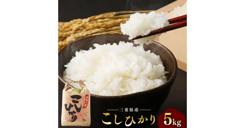 【ふるさと納税】こしひかり 精米 5kg ／ 積木商店 お米 白米 米 こめ ご飯 おいしいお米 三重県 大台町