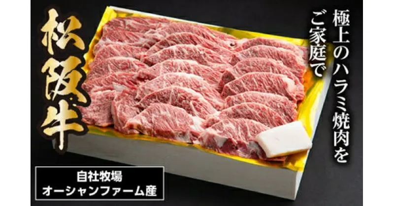 【ふるさと納税】SS01　松阪牛　焼肉　ハラミ　500g／（冷凍）ギフト箱包装　瀬古食品　松阪肉　名産　お取り寄せグルメ　JGAP認定　三重県　大台町