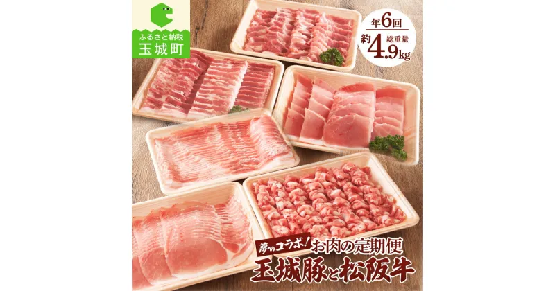 【ふるさと納税】定期便 6回 豚肉 牛肉 松阪牛 玉城豚 国産 焼肉 すき焼き しゃぶしゃぶ ステーキ 奇数月 ふるさと味工房アグリ 朝日屋