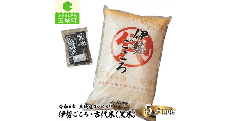 【ふるさと納税】令和6年産 コシヒカリ 伊勢ごころ 5kg 黒米 100g×1袋 米 白米 精米 2024年産 ご飯 お弁当 おにぎり ギフト 贈答 備蓄米 玉城町観光協会 三重県