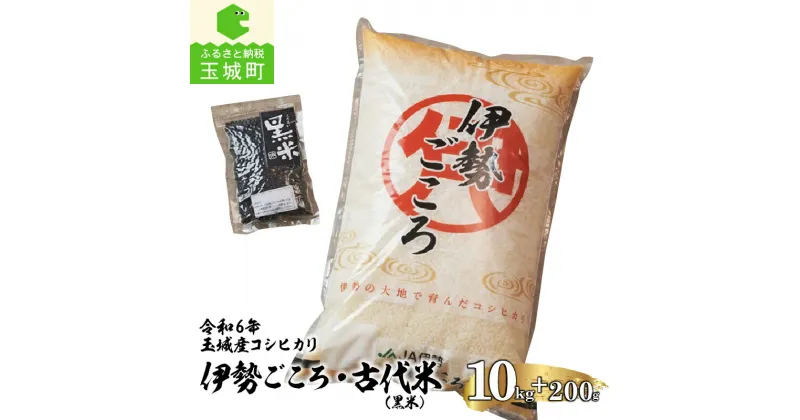 【ふるさと納税】令和6年産 コシヒカリ 伊勢ごころ 10kg 黒米 100g×2袋 米 白米 精米 2024年産 ご飯 お弁当 おにぎり ギフト 贈答 備蓄米 玉城町観光協会 三重県