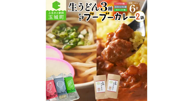 【ふるさと納税】ギフト カレー うどん 贈答用 箱入り オリジナル箱 生うどん カルシウム モロヘイヤ パプリカ 3種 150g 2食 計6食 玉城ブーブーカレー 2個 本格派 ご当地 栄養 ビタミン 家庭用 特製 ざるうどん 鍋焼きうどん 三重県 玉城町 さんておーる食堂